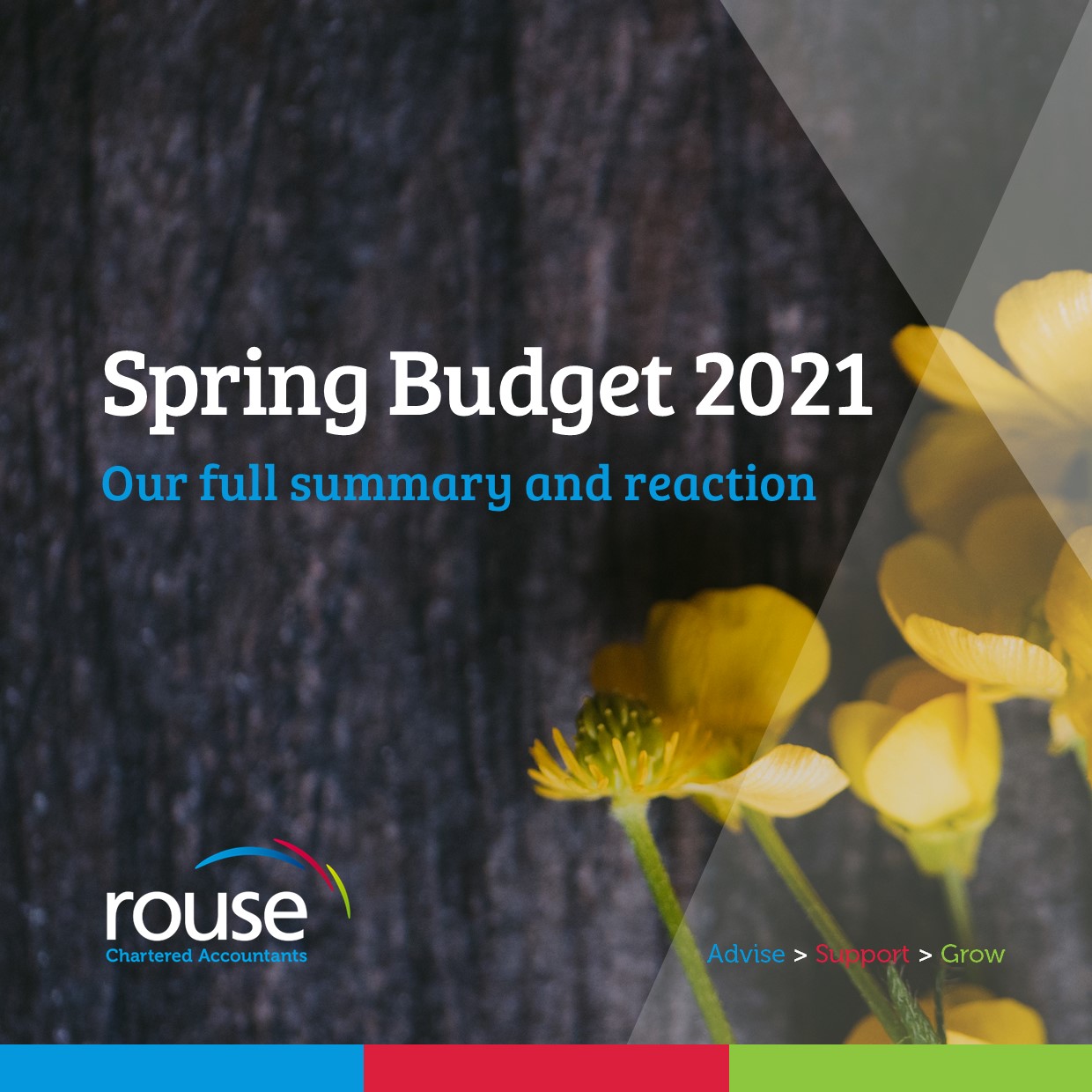 The Budget