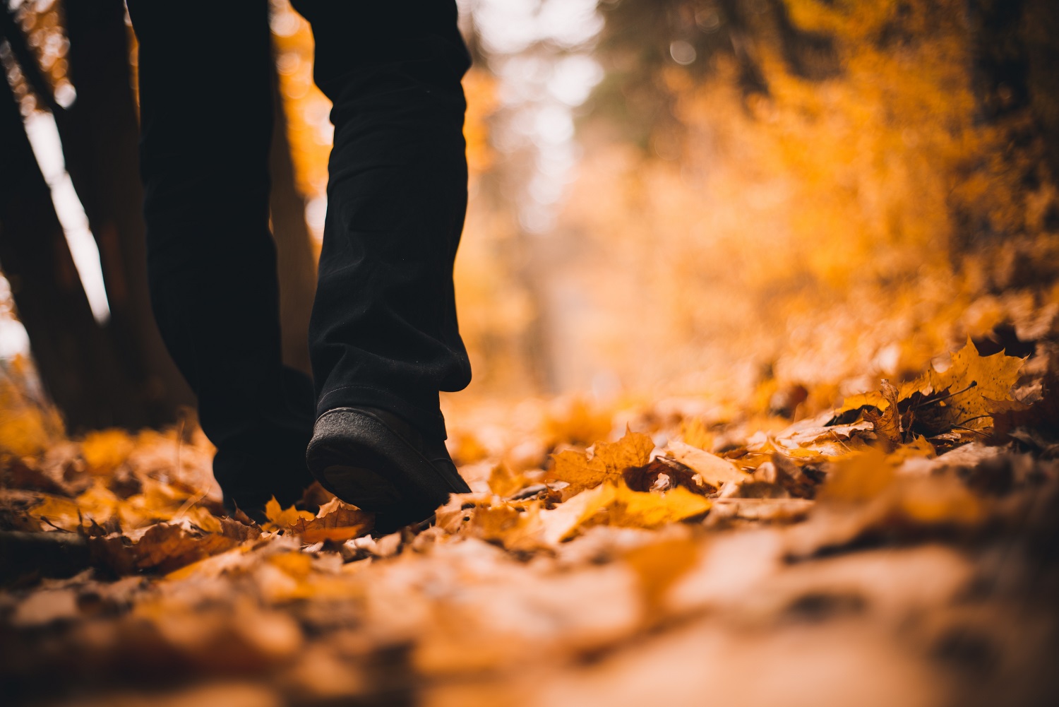 autumn-statement-2022-what-it-means-for-you-rouse-partners-award
